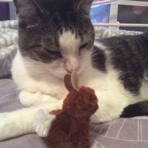 Meet your Posher, Corinne - Picture 1 of 1